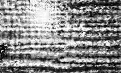 The Ghost in the Machine: Robinhood’s AI Agent and the Illusion of Automation The Ghost in the Machine: Robinhood’s AI Agent and the Illusion of Automation