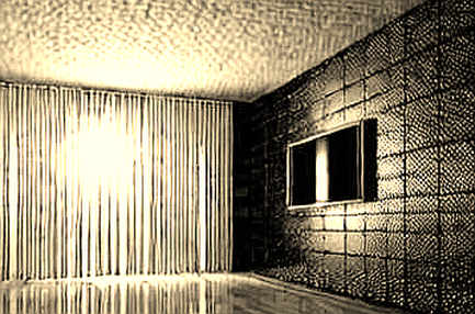 The Shadow in the Yield: Unpacking the Fragile Architecture of sUSDe The Shadow in the Yield: Unpacking the Fragile Architecture of sUSDe