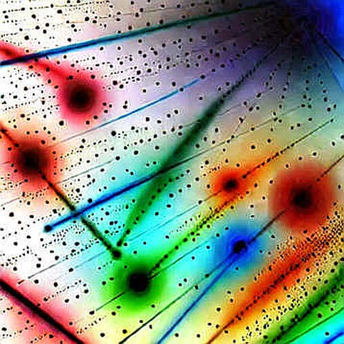 The Null Block: Why Empty Data Is the Most Dangerous Signal The Null Block: Why Empty Data Is the Most Dangerous Signal